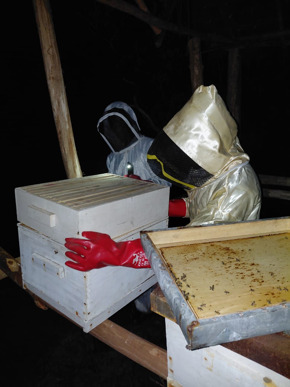 APIARY VISIT TOUR EXPERIENCE
