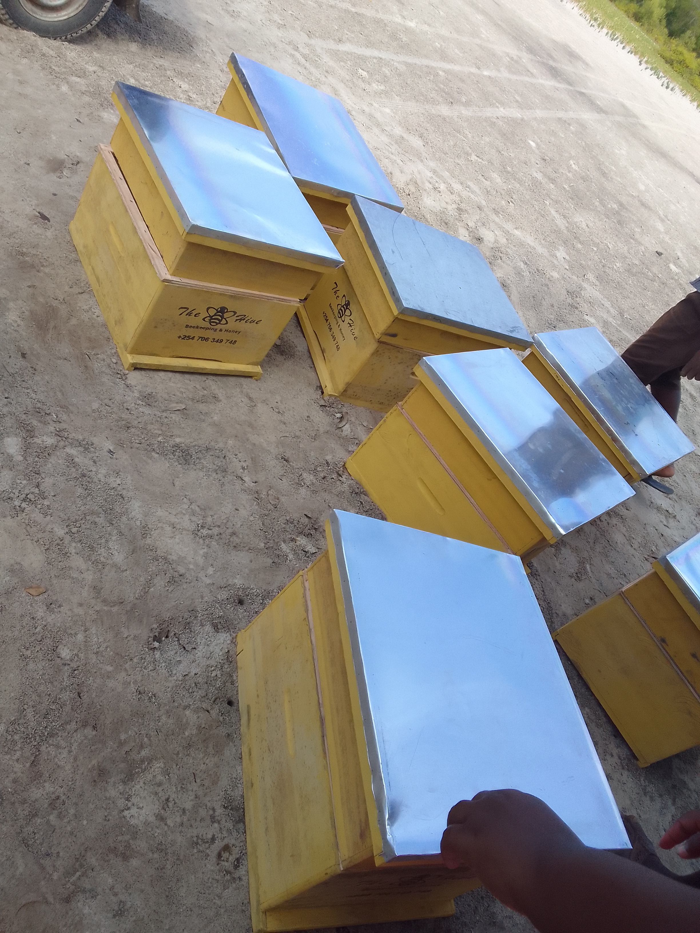 BEEKEEPING